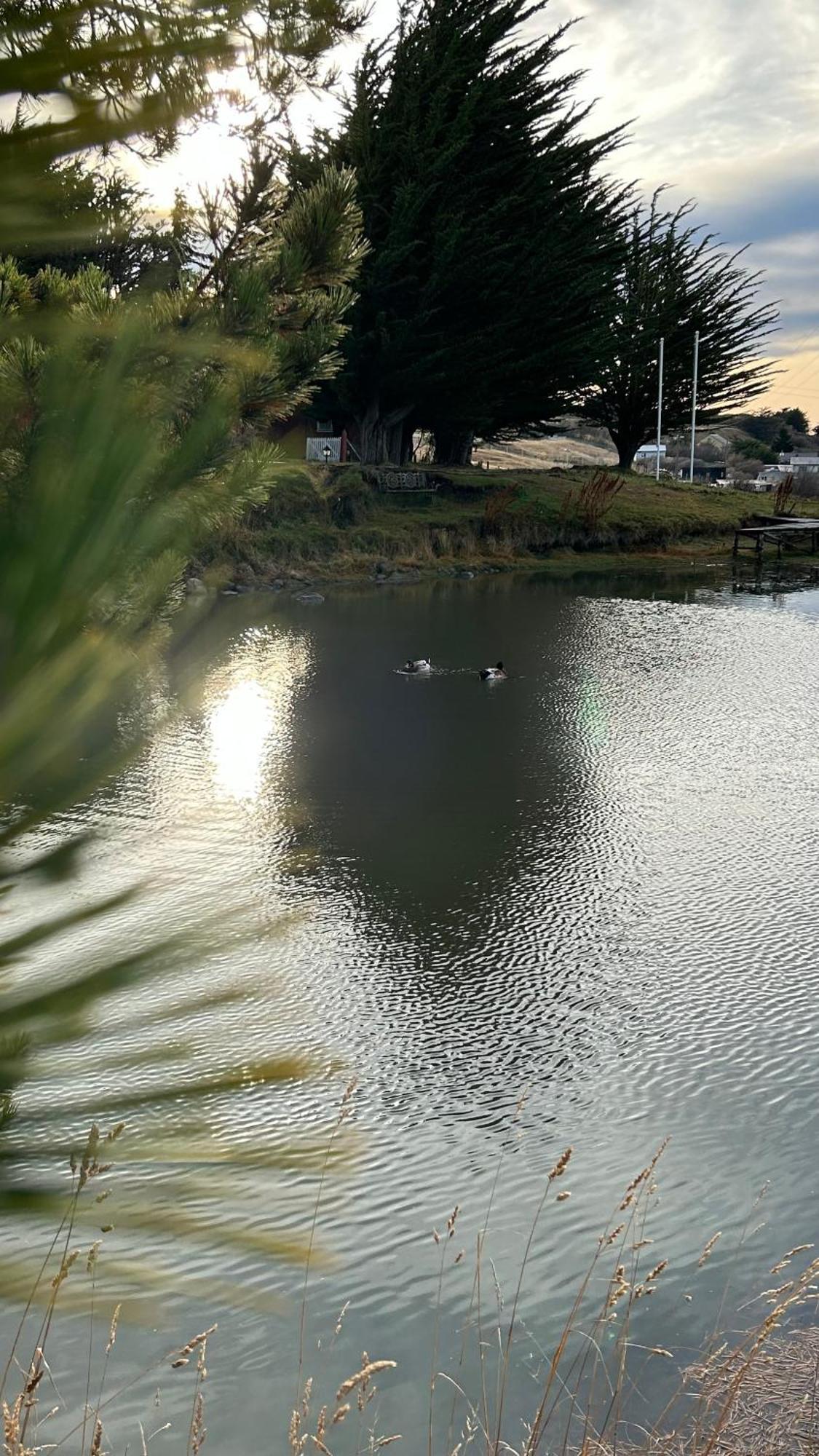 Hospedaje Isla Magdalena Punta Arenas Buitenkant foto